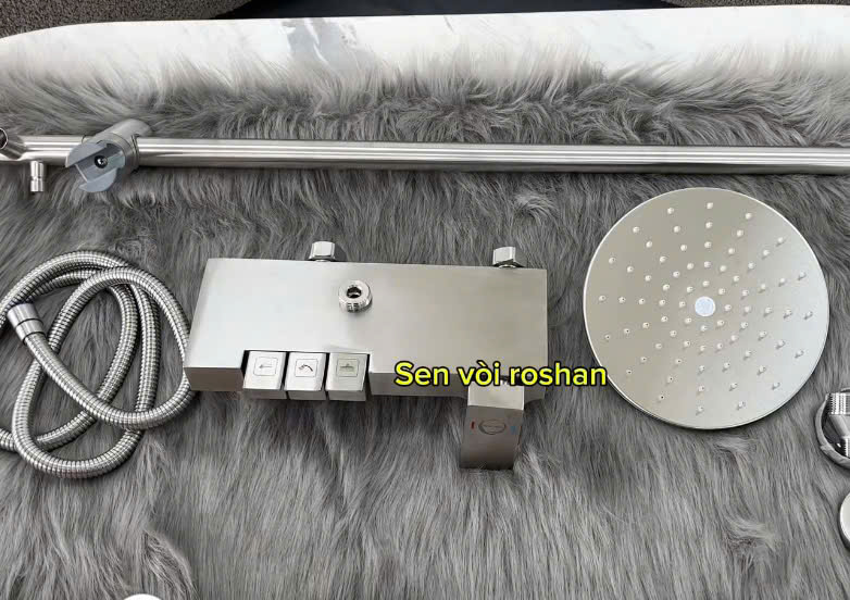 Bộ sen cây inox mờ Nóng Lạnh Roshan Basic R211