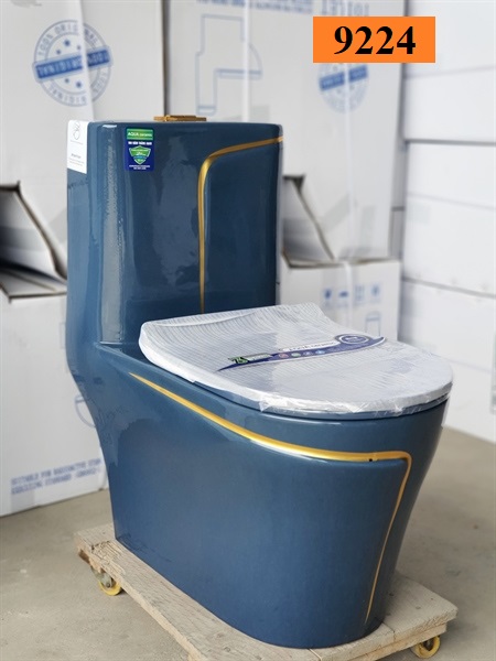 Bồn cầu 1 khối 9224