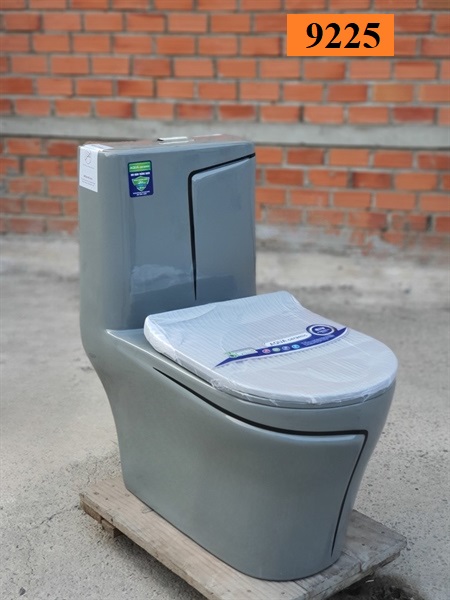 Bồn cầu 1 khối 9225