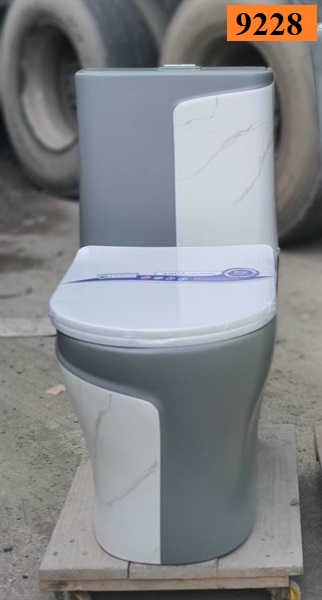 Bồn cầu 1 khối 9228
