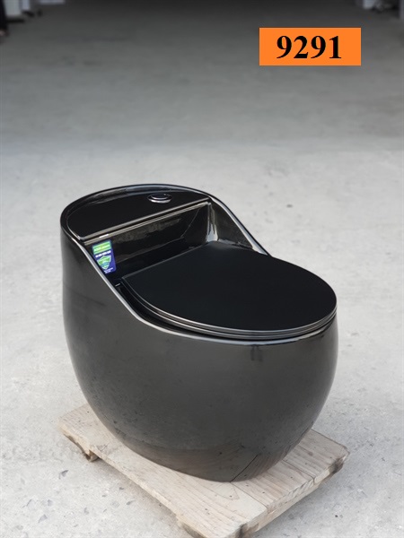 Bồn cầu trứng đen 9291