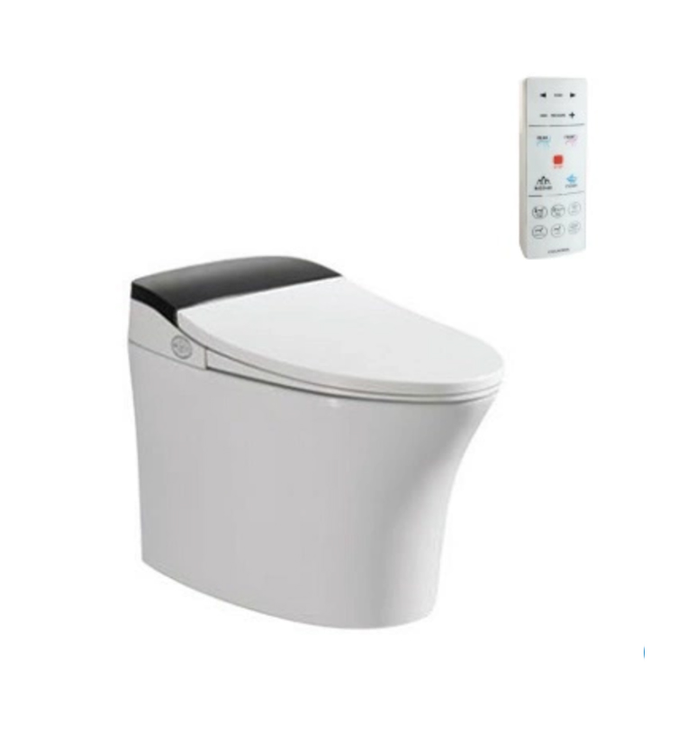 Bồn Cầu Điện Tử Viglacera V93.WB