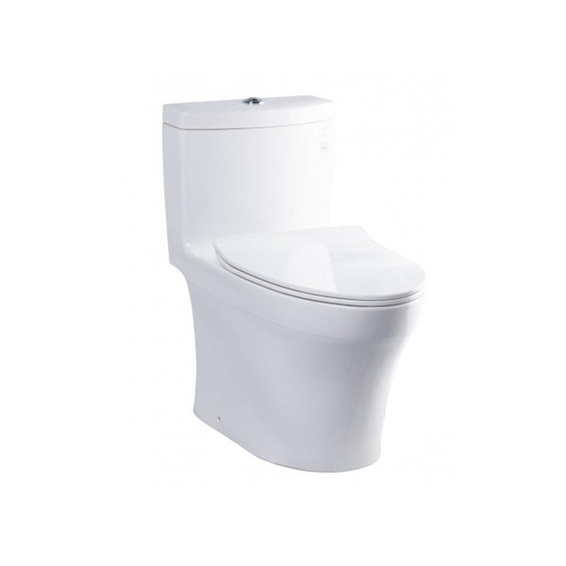 Bệt xí vệ sinh ToTo MS889DRT8