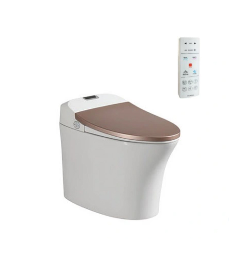 Bồn Cầu Điện Tử Viglacera V94.GW