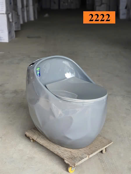 Bồn cầu trứng xám 2222