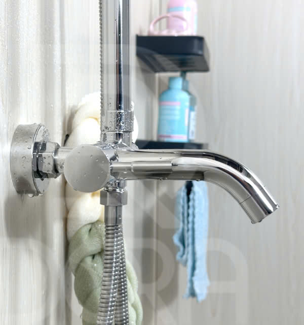 Sen cây inox 304 Hàng lạnh gia công đánh bóng BSL105